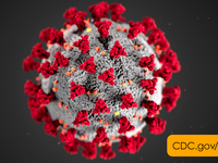 Novel Coronavirus Disease (COVID-19) Image